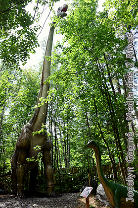 Woodooliparc Woodooliparc